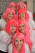 Salon Vie's Tattenhall team on their Go Pink day